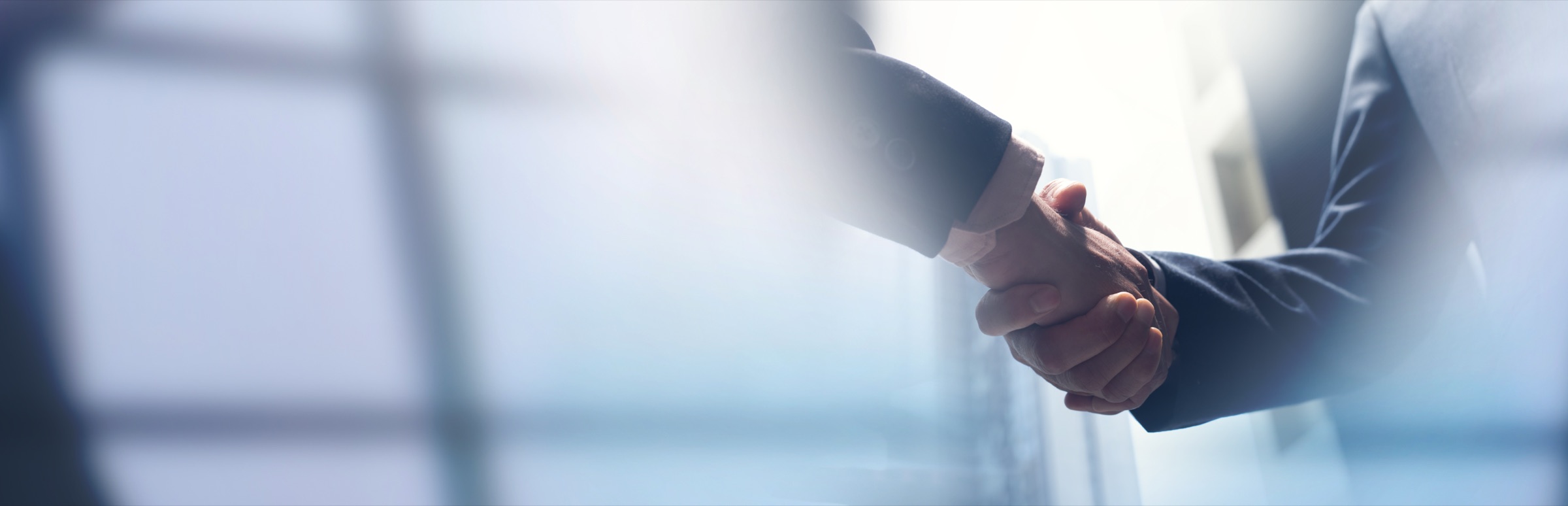 Two professionals shaking hands